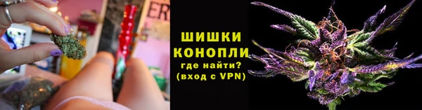 spice Нея